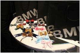 京順寶BMW 3系麗人節(jié)主題活動(dòng)圓滿(mǎn)落幕，以“悅己”之姿，馭風(fēng)而行