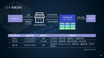 2017年中國保險科技投融資報告
